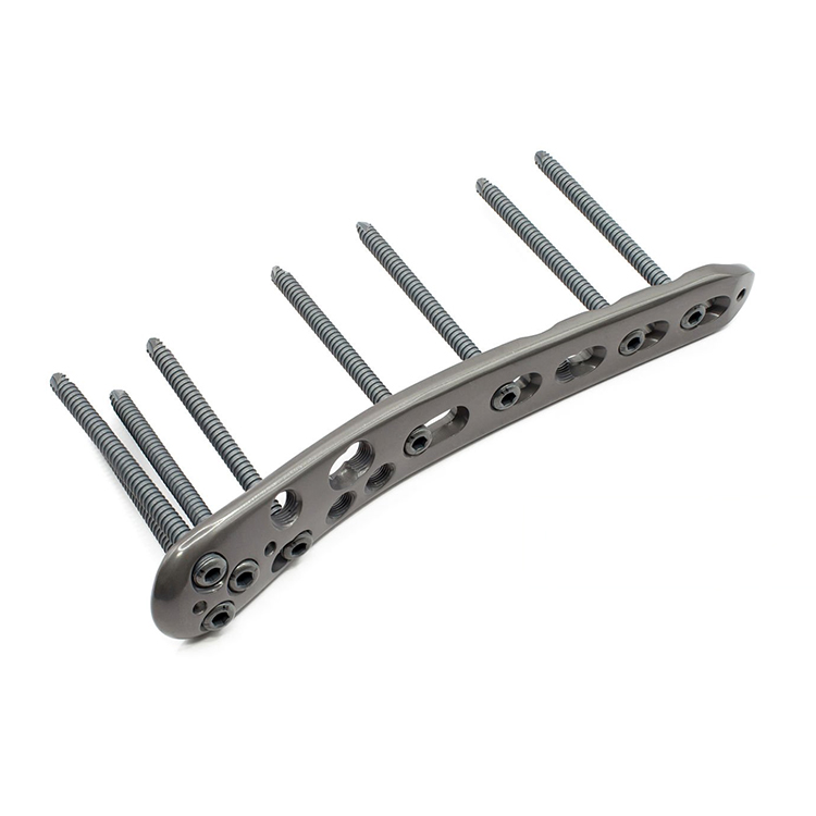 Biomedical Titanium Plate detail